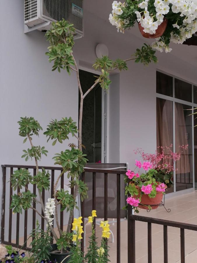 Appartement Hamboula à Polis Extérieur photo